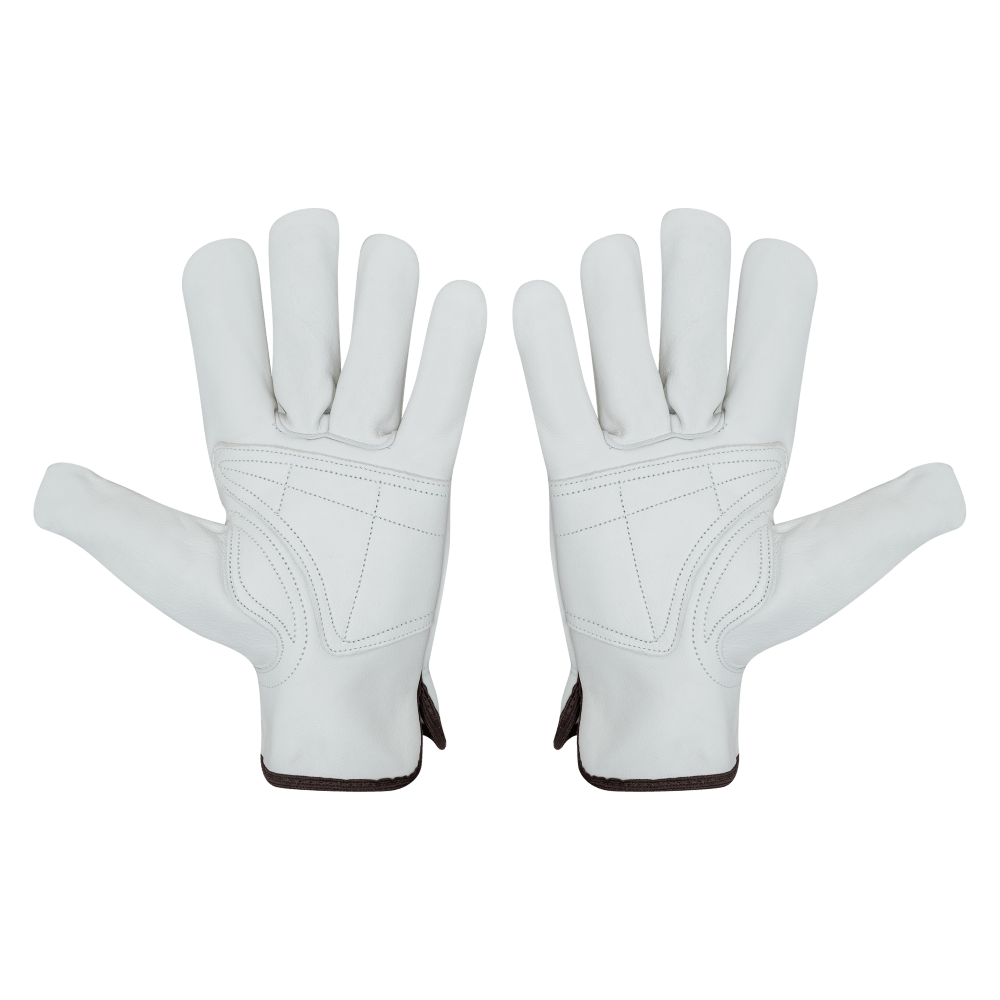 2026R-REINFORCED